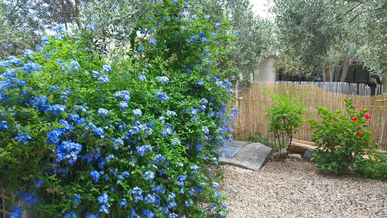 فيلا La Casa Nel Borgo شيا المظهر الخارجي الصورة